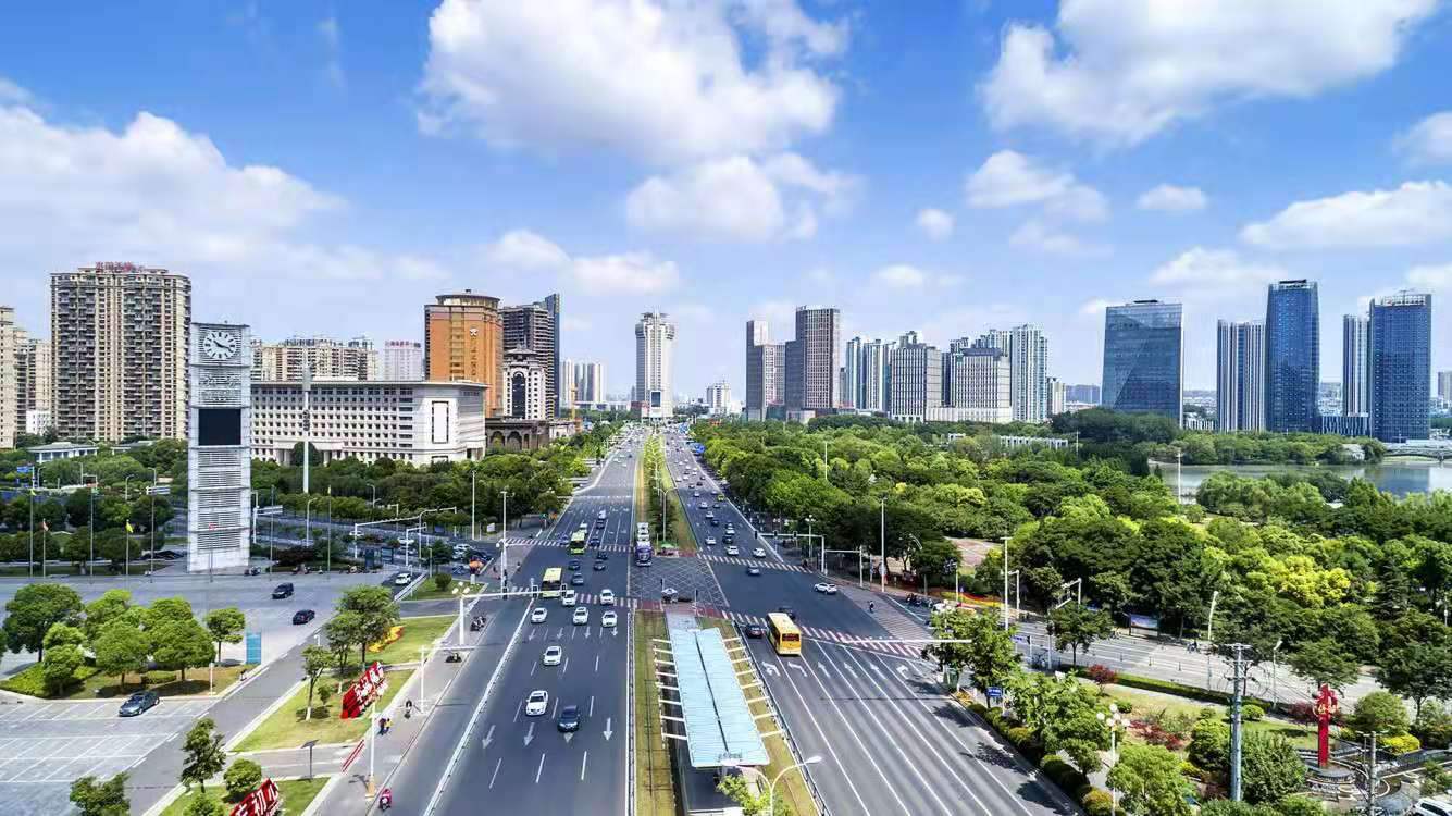 江苏最大的苗木批发市场在哪